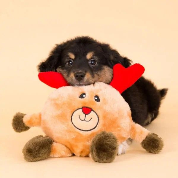 ZippyPaws | Holiday 聖誕節限定 圓滾滾馴鹿 啾啾玩具 