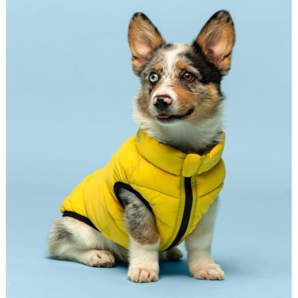 fabdog Pack N' Go Reversible Puffer 雙面可折疊收納 保暖背心 