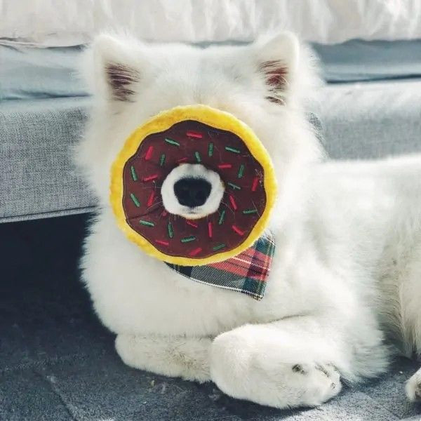 ZippyPaws | Donutz 聖誕節限定 薑餅甜甜圈玩具 
