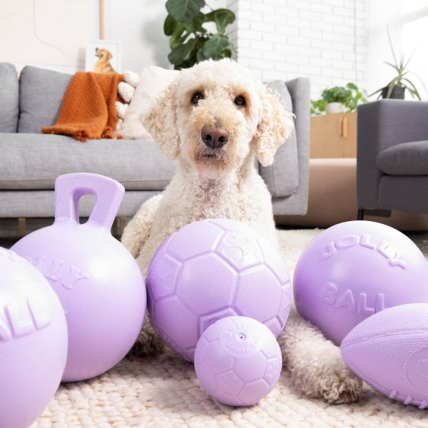 Jolly Pets | 迷你彈力足球水陸兩用球 