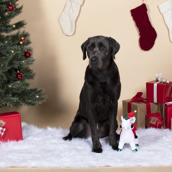 Petshop ｜ 聖誕獨角獸啾啾玩偶 