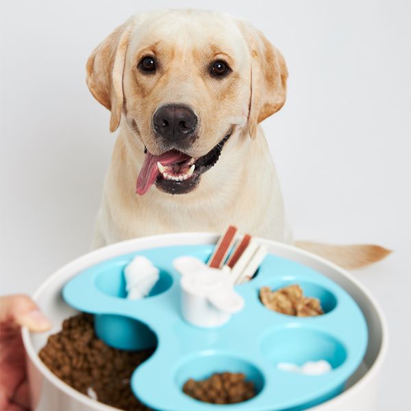 PetDreamHouse | SPIN 食來運轉系列-轉轉調色盤 寵物享食碗 