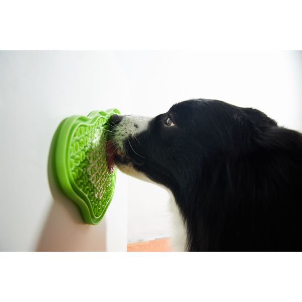 PetDreamHouse | PAW 飯來掌口系列-汪星人 寵物樂趣享食盤 