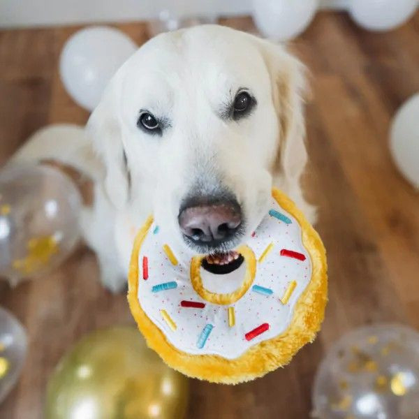 ZippyPaws | Donutz 生日甜甜圈啾啾玩具 