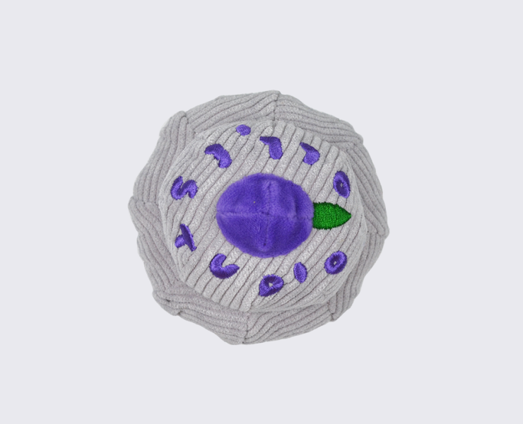 Studio Ollie Blueberry Cupcake 藍莓杯子蛋糕嗅聞玩具 