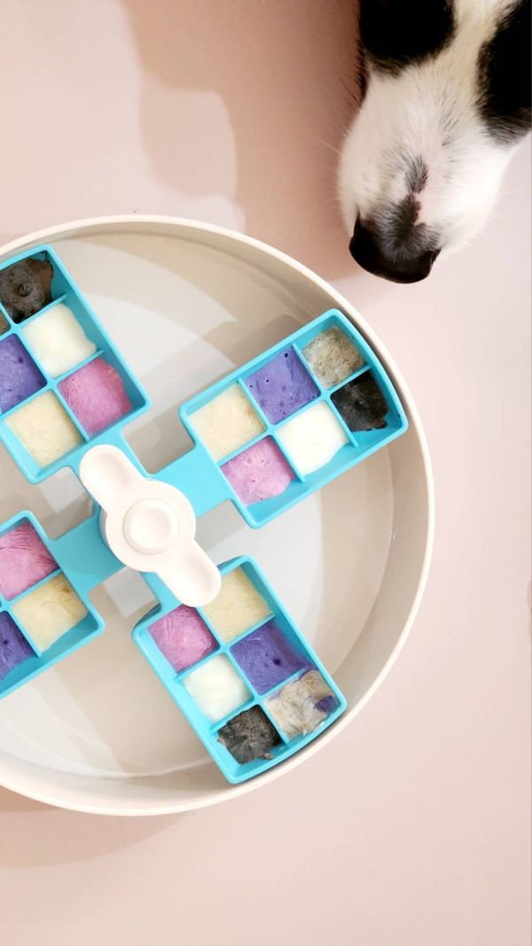 PetDreamHouse | SPIN 食來運轉系列-轉轉風車 寵物享食碗 