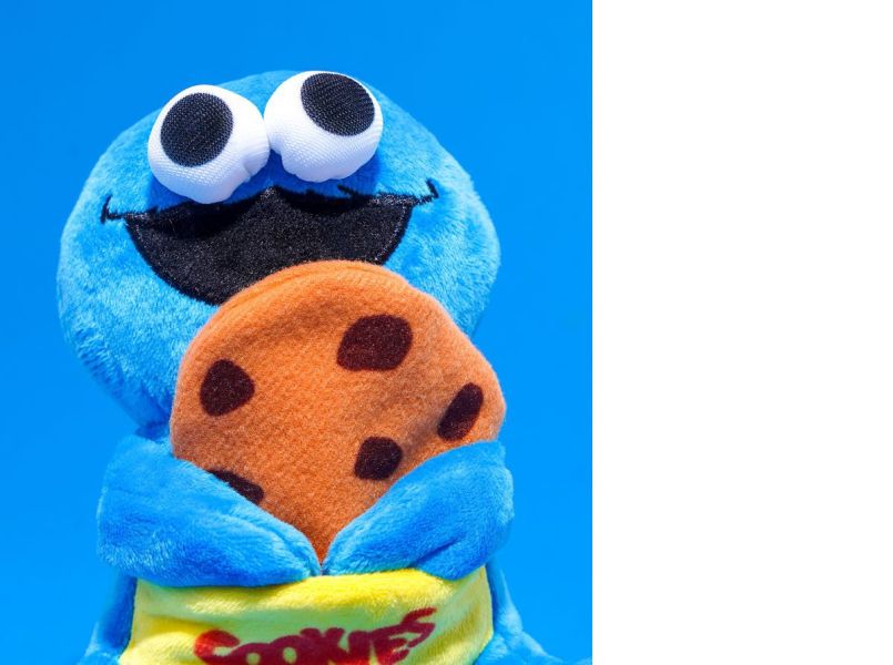 Bacon Box X Sesame Street 芝麻街聯名 餅乾怪獸嗅聞藏食玩具 