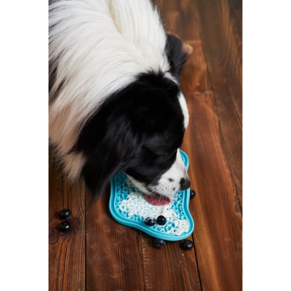 PetDreamHouse | PAW 飯來掌口系列-寵物吸盤享食墊 