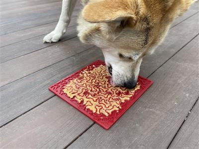 SodaPup Bones Emat 骨頭造型 寵物慢食墊 