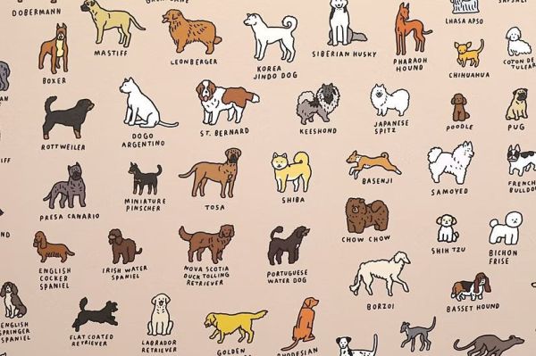 Zero Per Zero | Dog Dictionary 狗勾圖鑑海報 