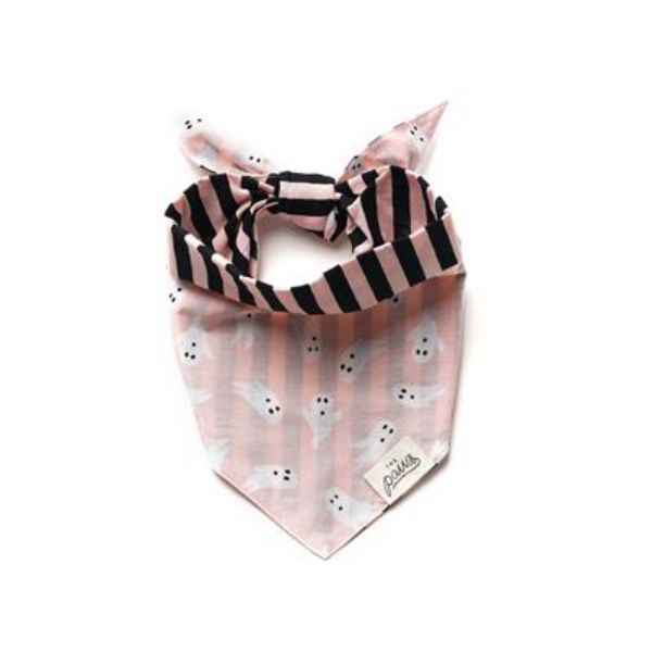 The Paws Spooky/Boo/Casper 萬聖節系列 雙面領巾 