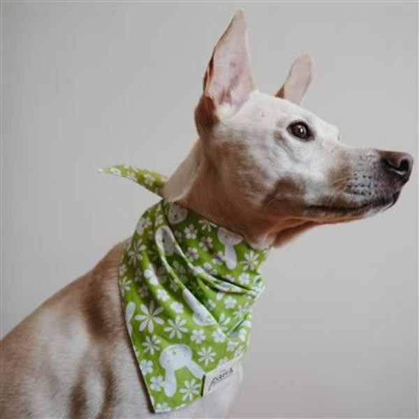 The Paws Lola/Skippy 兔兔系列 三角領巾 