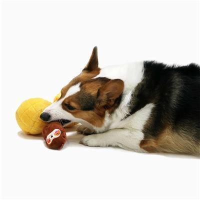 HugSmart | 鳳梨有樹懶藏食嗅聞玩具 