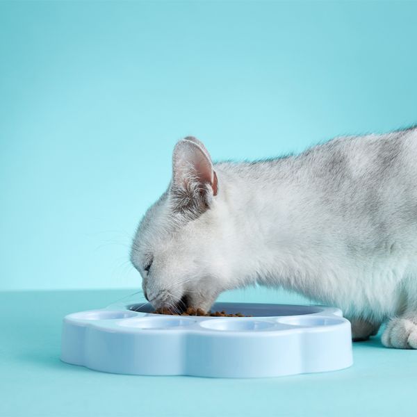 PetDreamHouse | PAW 飯來掌口系列-喵星人 寵物樂趣享食盤 