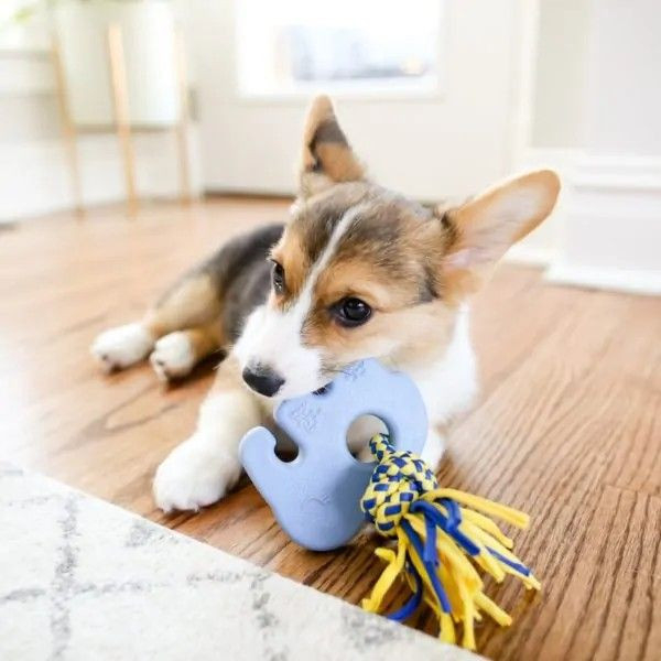 ZippyPaws | Teetherz 大象磨牙啃咬玩具 