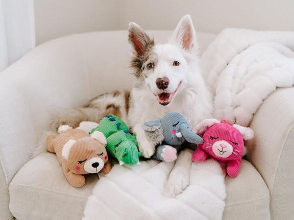 ZippyPaws | Snooziez 鱷鱷靜悄悄高頻啾啾玩偶 