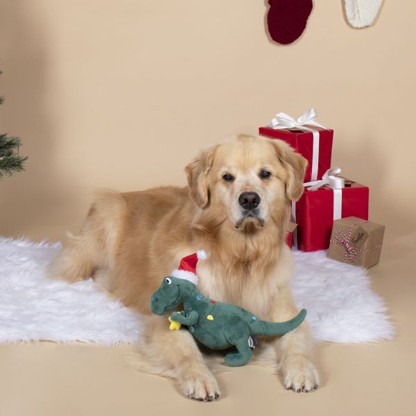 Petshop ｜ 聖誕樹暴龍啾啾玩偶 