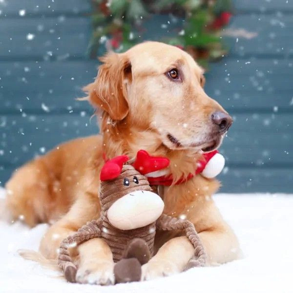 ZippyPaws | Holiday 聖誕節限定 長手長腳馴鹿 啾啾響紙玩具 