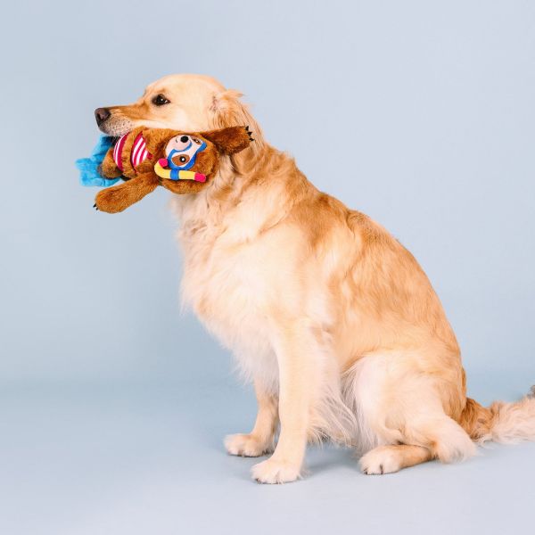 Petshop｜潛水樹懶啾啾玩偶 