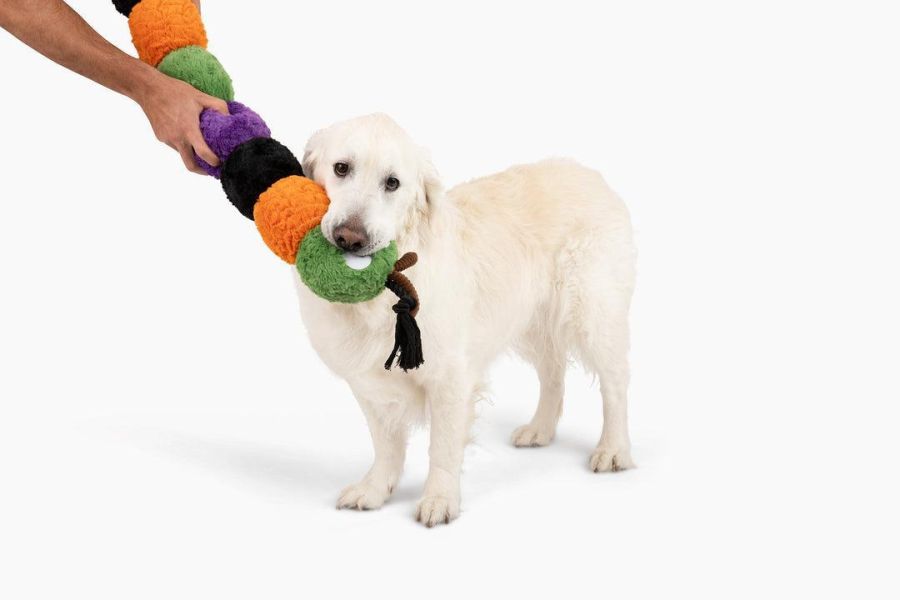 PatchWorkPet | 超大萬聖節毛毛蟲玩具 