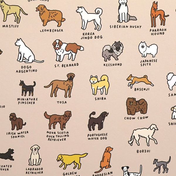 Zero Per Zero | Dog Dictionary 狗勾圖鑑 A3海報 