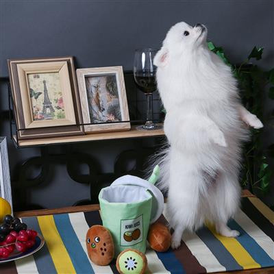 HugSmart | 係金ㄟ奇異果汁藏食嗅聞玩具 