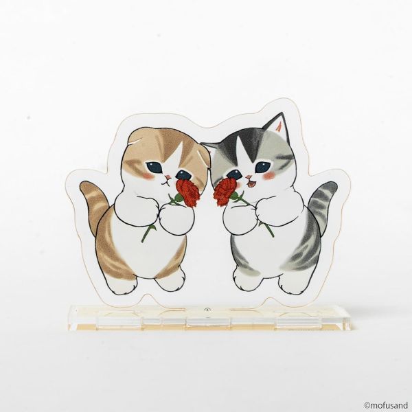 日文漫畫 ぢゅの 貓福珊迪「鯊魚貓 サメにゃん(3)」特裝版 附:壓克力立牌*4/24發售! 日文漫畫,ぢゅの,貓福珊迪,鯊魚貓,サメにゃん,特裝版,壓克力,立牌