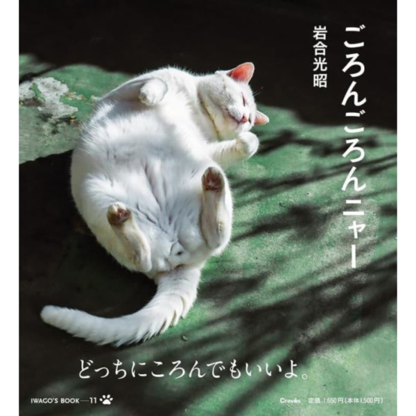 岩合光昭 貓咪寫真集「ごろんごろんニャー」*2/19發售! 岩合光昭,貓咪,寫真集,ごろんごろんニャー