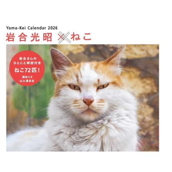 岩合光昭 貓咪 ねこ 2026年 桌上型週曆 桌曆 *10/8發售! 岩合光昭,貓咪,ねこ,桌上型,週曆,桌曆,カレンダー,卓上