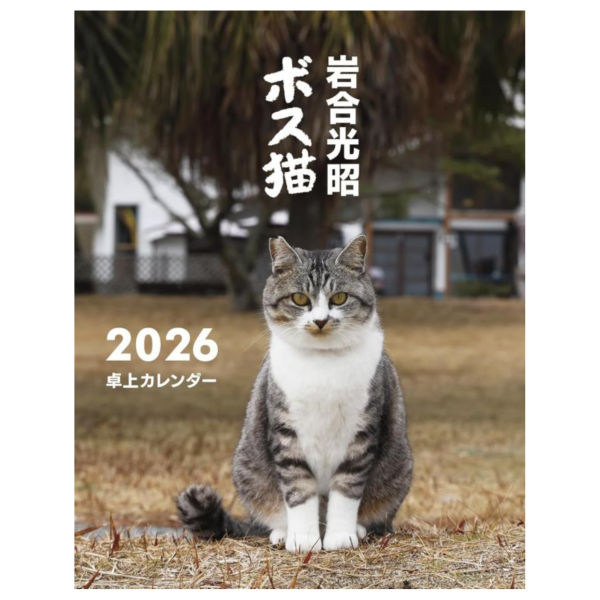 岩合光昭 ボス猫 貓老大 2026年桌上型月曆 桌曆 *9月下旬發售! 岩合光昭,ボス猫,貓老大,2026年,桌上型,月曆,桌曆,ボス猫,卓上カレンダー
