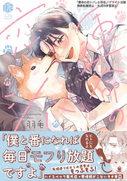 各店家特典版 日文漫畫 羽毛「運命の恋シバ」*11/20發售! 日文漫畫,店家特典,羽毛,運命の恋シバ