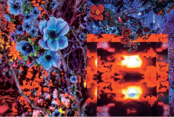 寫真家 蜷川實花 「蜷川実花展 with EiM:彼岸の光、此岸の影」*4/10發售! 寫真家,蜷川實花 ,蜷川実花展,with EiM,彼岸の光,此岸の影,