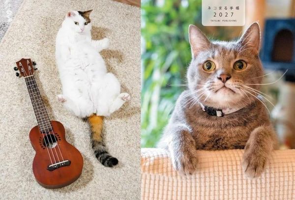 NEKO MARU ネコまる 2027年 行事曆 手帳 附:貼紙 NEKO MARU,ネコまる,2027年,行事曆,手帳,貼紙