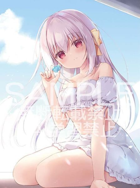 通路限定 宮坂なこ 畫集 豪華版「Moelleux Mignon」書盒+小冊+B2掛軸 畫冊 作品集 電擊萌王*4/24發售! 限定,宮坂なこ,畫集,豪華版,Moelleux Mignon,書盒,小冊,B2,掛軸,畫冊, 作品集,電擊萌王