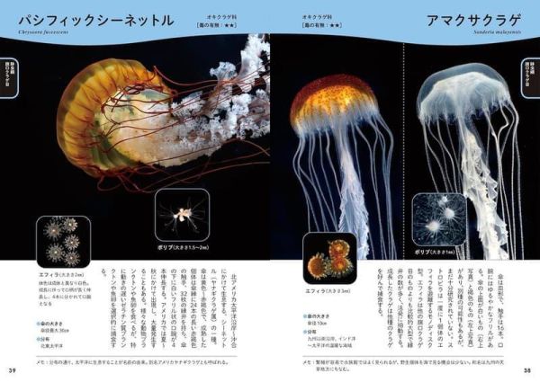日文書 水母圖鑑 生態がよくわかるクラゲ図鑑 *4/16發售! 日文書,水母,圖鑑,生態がよくわかる,クラゲ,図鑑
