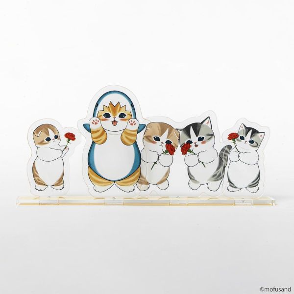 日文漫畫 ぢゅの 貓福珊迪「鯊魚貓 サメにゃん(3)」特裝版 附:壓克力立牌*4/24發售! 日文漫畫,ぢゅの,貓福珊迪,鯊魚貓,サメにゃん,特裝版,壓克力,立牌