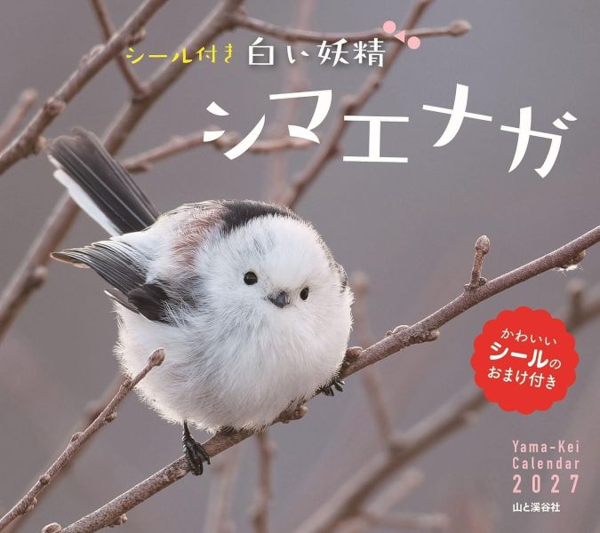 白色精靈 北長尾山雀 壁掛式月曆 掛曆 2027年 附:貼紙 *9/28發售! 白色精靈,北長尾山雀,壁掛式月曆,掛曆,2027年,白い妖精シマエナガ