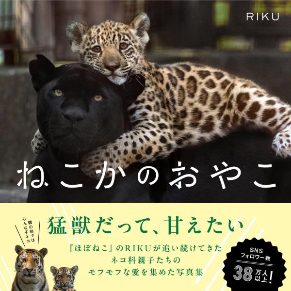 RIKU 貓科動物親子 寫真集 ねこかのおやこ *11/18發售! 写真集,寫真集,RIKU,貓科動物親子,ねこかのおやこ,豹,獅子,老虎,猛禽
