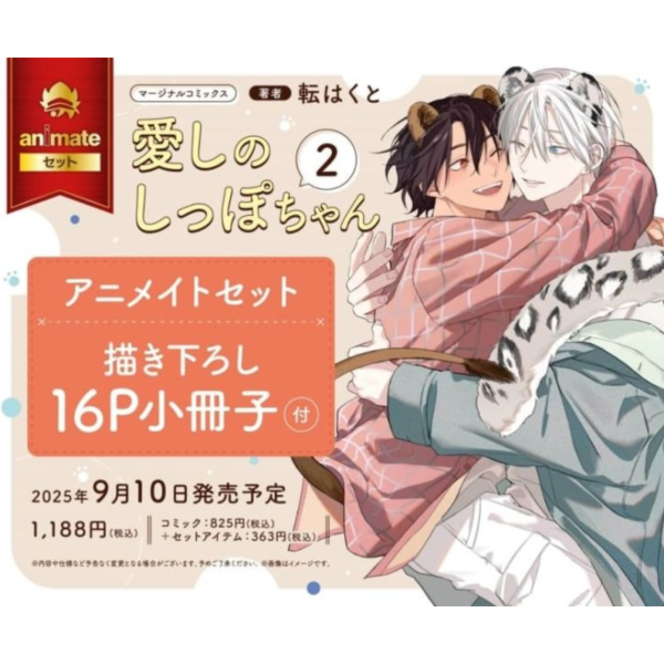 各店家特典版 日文漫畫 転はくと「愛しのしっぽちゃん (2)」 *9/10發售 日文漫畫,店家特典,転はくと,愛しのしっぽちゃん
