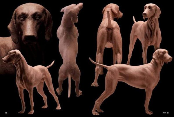 片桐裕司 ANIMAL MODELING 動物造型解剖學 增補改訂版 *4/28發售! 動物造形,解剖学,片桐裕司,ANIMAL MODELING,動物造型,解剖學,增補,改訂版,アニマル・モデリング