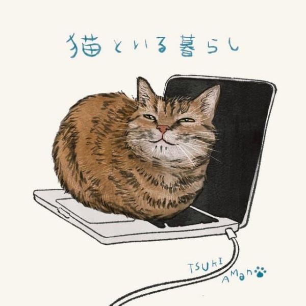 天野月 不插電專輯「猫といる暮らし」 特典:貼紙*4/25發售! 天野月,不插電專輯,猫といる暮らし,特典,貼紙