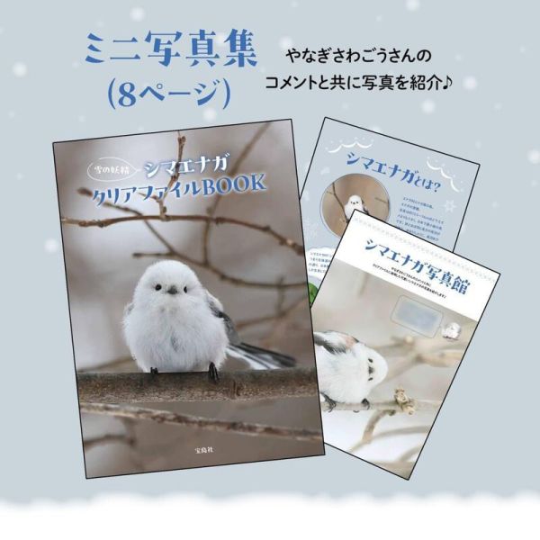 寶島社 雪之妖精 銀喉長尾山雀 迷你寫真集 シマエナガ 附:3款資料夾 BOOK *3/4發售! 寶島社,雪之妖精,銀喉長尾山雀,寫真集,シマエナガ,
雪の妖精,シマエナガクリアファイル