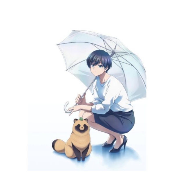 和雨．和你 藍光BD BOX *12/24發售! 和雨,和你,藍光,BD,雨と君と