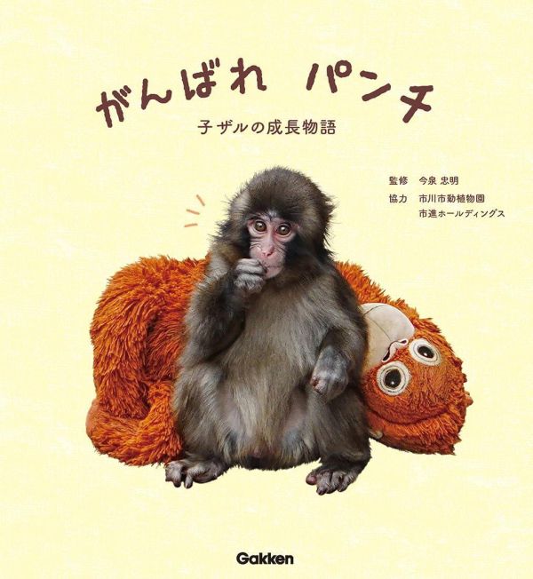 日文書 市川市動植物園 小猴子Punch的成長物語 がんばれ パンチ 子ザルの成長物語*11/26發售! 市川市動植物園,小猴子Punch的成長物語,がんばれ パンチ,子ザルの成長物語