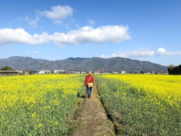 小池紀子 寫真散文集「ふうふ写真散歩」*5/30發售! 小池紀子,寫真散文集,ふうふ写真散歩,写真集