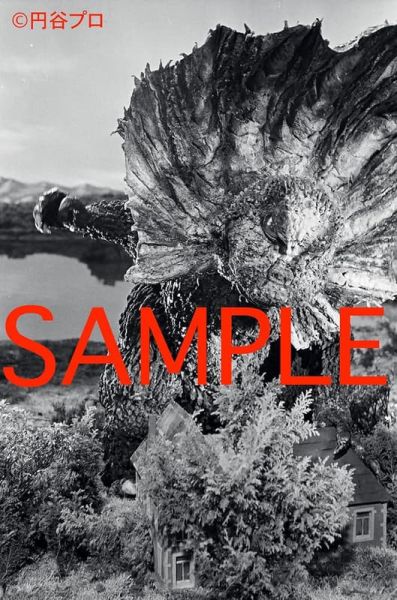 超人力霸王 怪獸劇照寫真檔案集 *2026/1/26發售! 超人力霸王,怪獸,劇照,寫真,檔案集,ウルトラマン,怪獣スチール,写真アーカイヴス