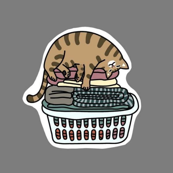 天野月 不插電專輯「猫といる暮らし」 特典:貼紙*4/25發售! 天野月,不插電專輯,猫といる暮らし,特典,貼紙