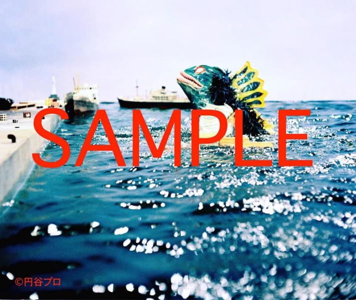 超人力霸王 怪獸劇照寫真檔案集 *2026/1/26發售! 超人力霸王,怪獸,劇照,寫真,檔案集,ウルトラマン,怪獣スチール,写真アーカイヴス