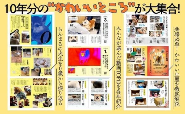 丸頭製作所 柴犬 蘭丸 RANMARU大全 「世界一頭がまるい柴犬のたのしいまいにち」 *5/22發售! 丸頭製作所,柴犬,蘭丸,RANMARU大全,世界一頭がまるい柴犬のたのしいまいにち