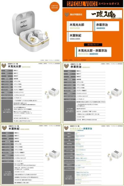 AVIOT 排球少年！！聯名耳機 TE-Q3-HK 可選【跨境】*10月下旬發售! AVIOT,排球少年,聯名,耳機,TE-Q3-HK,ハイキュー!